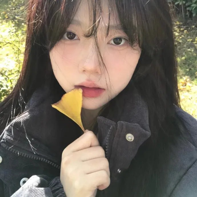 十五岁又一天